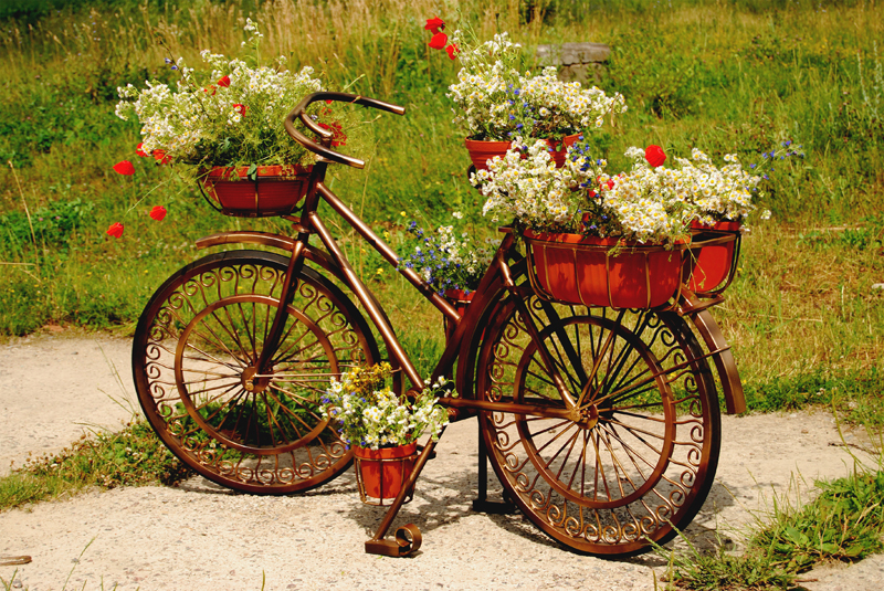 Container Gardening