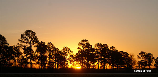 December Sunrise by Ashton Christie